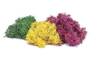 R7196 Hornby Lichen - Autumn Mix