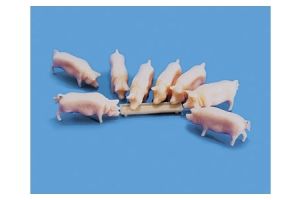 5176 Model Scene Pigs