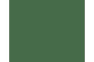 270 # RailMatch 15mls Jar Freightliner Green