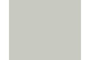 2421 RailMatch 18mls Pot Matt White Acrylic
