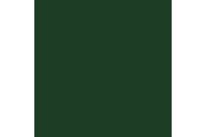 2601 RailMatch 18mls Pot GWR Post 1928 loco green acrylic