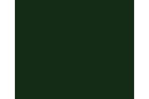 1300 # RailMatch 150mls Aerosol BR Loco Green