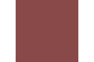 2424 RailMatch 18mls Pot Dark Brick Acrylic