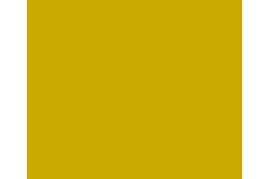 271 # RailMatch 15mls Enamel Jar Freightliner Yellow