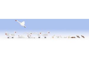 15774 Noch Swans and Ducks